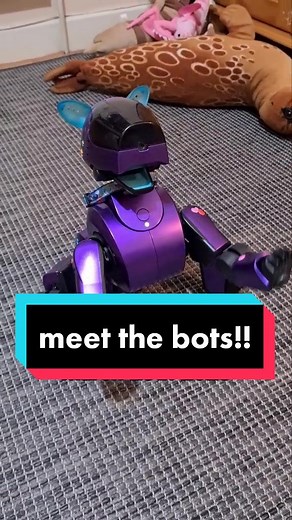 #robotsoftiktok #aibotok #aibofan #aibo #robots #sonyaibo