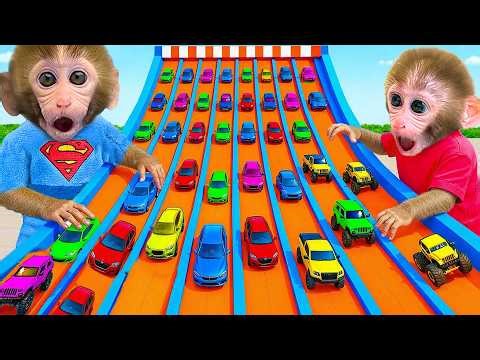 小猴子 Gogo 和朋友挑戰彩色賽車比賽😱🏎️🌈 Gogo Monkey Life