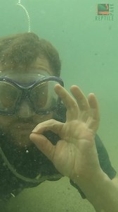 283K views · 5K reactions | Unblocking drains in deadly Croc's pool!  Filmed at The Reptile Park: https://www.reptilepark.com.au/ | Untamed | Facebook