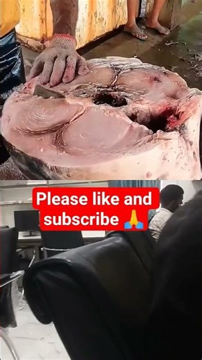 #shortvideo #comedy #motivation #fishing #fish 🥰