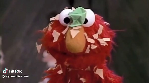 TikTok - Make Your Day