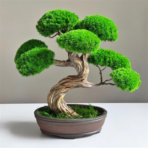 Preserved Moss Bonsai Tree in Ceramic Pot | Handmade Wire Trunk | No Watering Japandi Zen Desk Decor | Unique Gift - Tree of Balance - Etsy