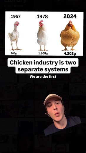 Localize - Farmers Market on Instagram: "Comment “Localize” for my real chicken map"