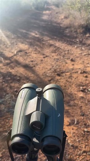 A little break from cooking to go hunting #hunting #deerhunting