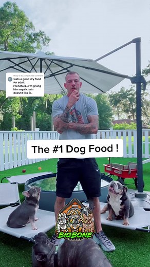 3 Rules When Choosing Dog Food | Avoid Grain Free & Corn