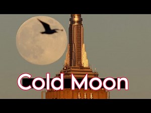 Cold Moon Explained: December's Magical Full Moon Phenomenon!