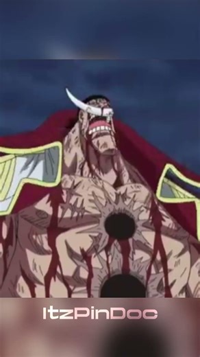 Whitebeard Edit THE ONE PIECE IS REAL!!! #edit #onepiece #whitebeard