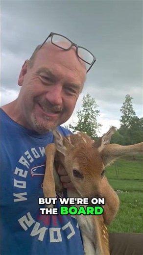 First Fawn Born! Buck Creek Whitetails on Board! #shorts