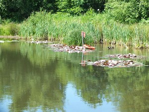 Contact us | Brymbo Angling Club