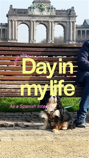 Sunny Sundays in Brussels 🌷 #vlog #internship #international #womensday #girl
