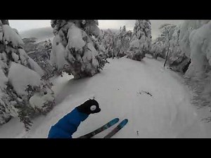 TREE SKIING at Jay Peak S2E6