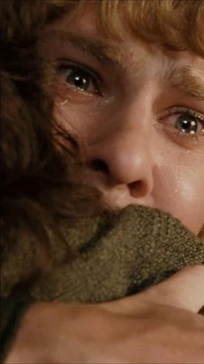 Frodo's Farewell - Lord Of The Rings