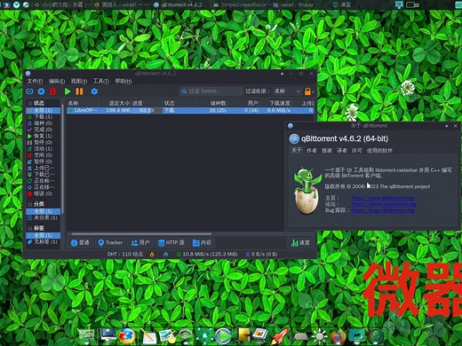 专业磁力种子下载工具,BT下载神器qBittorrent更新到4.6.2,windows,linux,国产操作系统通用