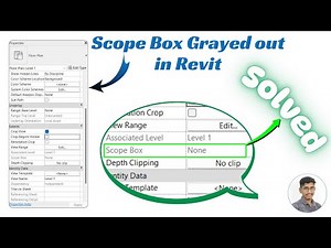 scope box in properties in Revit is greyed out