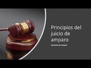 Principios del juicio de amparo