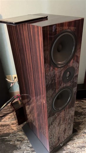 New DAC from Border Patrol at the Florida Audio Expo 2026.