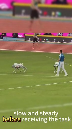 Check this out at China's National Games – robot dogs delivering...