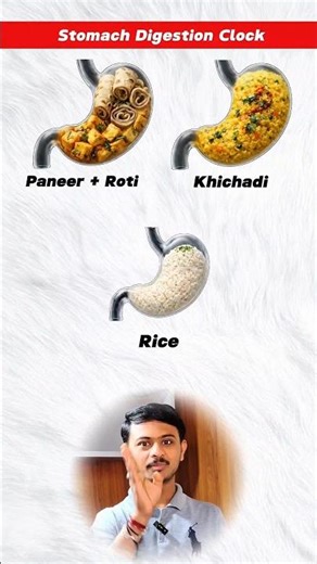 Stomach Digestion Time| Digestion
