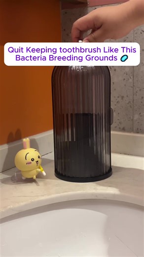Organize Your Bathroom: The Perfect Toothbrush Holder