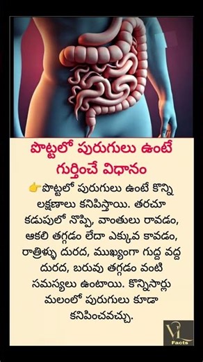 Why Your Stomach Makes Noises? The Real Reason Behind Stomach Sounds | Digestion Facts