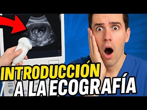 Introducción a la Ecografía: Aprende Lo Esencial en 5 Minutos | Curso para Principiantes
