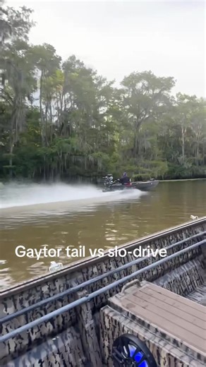 Exploring the Gaytor Tail vs Slo-Drive Cruising Experience