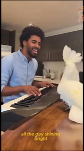 466K views · 9.8K reactions | He Started Playing Piano… Then Her Cockatoo Stole the Whole Show 列 #Cockatoo #jack #entertainment #happy  100% AI-generated video. ✨ Original story created for fun and family entertainment.  All scenes are fictional.  All videos include creative editing done by me.  No reuploads. No copyrighted material used. | Jackthecockatoo | Facebook
