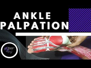 ANKLE JOINT PALPATION (ANKLE JOINT BIOMECHANICS)Physiotherapy Tutorials