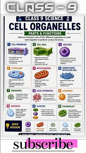 🎯 Cell Organelles Explained | Class 9 Chapter 2 Complete Revision | Exam 2027, ncert class 9