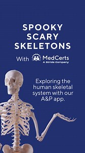 Students use our app as a companion to Introduction to Human Anatomy and Medical Terminology, which shows 3D versions of the human body’s internal structure. With MedCerts, get more immersive experiences that enhance your learning. Happy Halloween from MedCerts! 💀 #HumanAnatomy #Anatomy #Physiology #AnatomyandPhysiology #AugmentedReality #AR | MedCerts