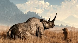 Instead of 'de-extincting' dire wolf, we should restore ecology using existing species
