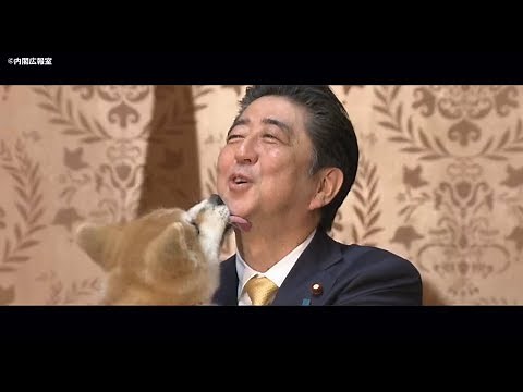 2018年 安倍政権この1年―平成30年12月31日