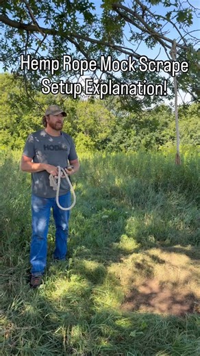 1.3K views · 252 reactions | A more in-depth explanation of how and...