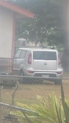 Monitoring lizards house