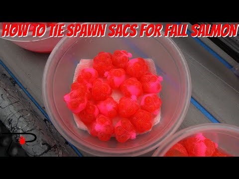 Best Spawn Sac Rig for Great Lakes Salmon (Step-by-Step Guide)