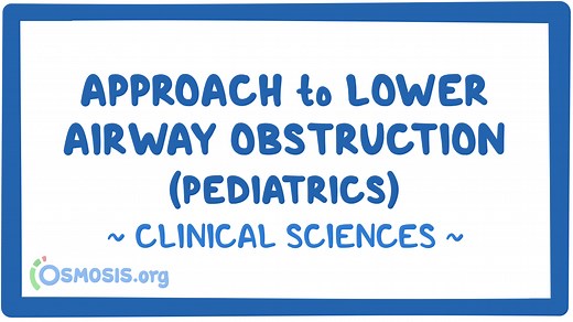 Approach to lower airway obstruction (pediatrics): Video & Meaning | Osmosis