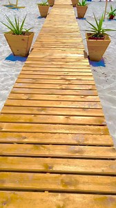 4.6K views · 21 reactions | Le Marin Coucou | The VIP Club | Facebook