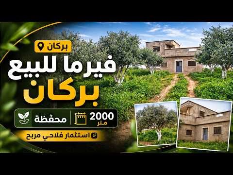 🌿 2000m² farmland with title deed | Berkane region #agriculture #Morocco #Berkane #mubawab