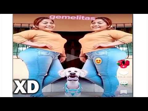 Half an Hour of XD Moments #190