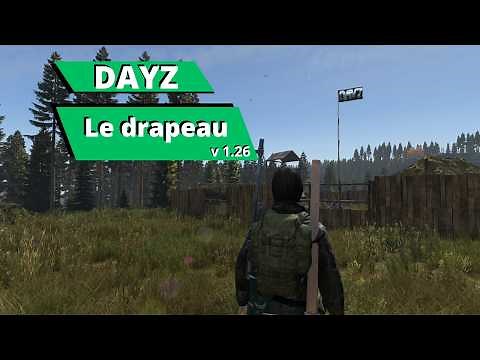 DayZ The Flag