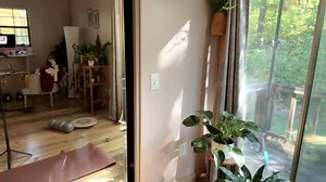 Emersoncane 2024-10-23 16:37:49