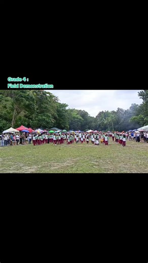 Field Demonstration for Grade 4 Teaching