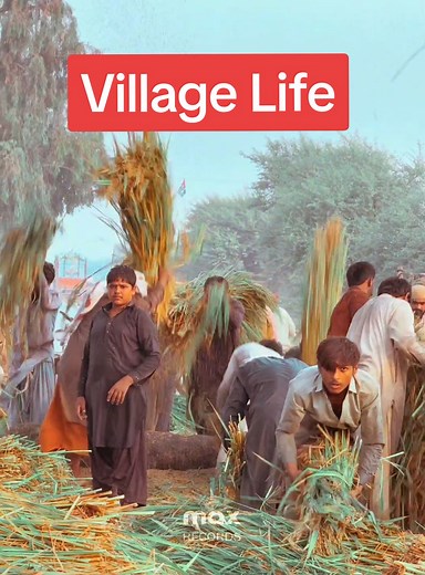 Exploring Village Life in Naudero, Larkana | Sindh Beauty