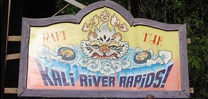 Kali River Rapids - Animal Kingdom - Disney World
