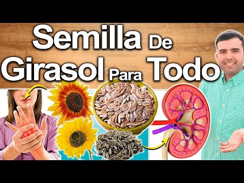 5 Semillas De Girasol Todos Los Días - Para Qué Sirve? - Beneficios Para Tu Salud Y Belleza