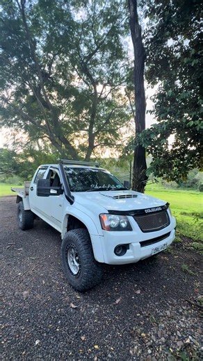 Bumper Theft Incident at Dallas Leppien