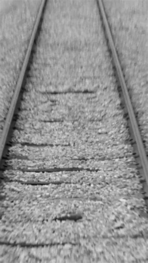 All aboard! ‘Camel trains to steel wheels: life on the Trans-Australian Railway’ is on now in Canberra until 19 October🐪🚂 This must-see exhibition features fascinating archival records, photos and footage that capture the events and challenges from the Trans-Australian Railway’s first 60 years. 🎥 National Film and Sound Archive | National Archives of Australia