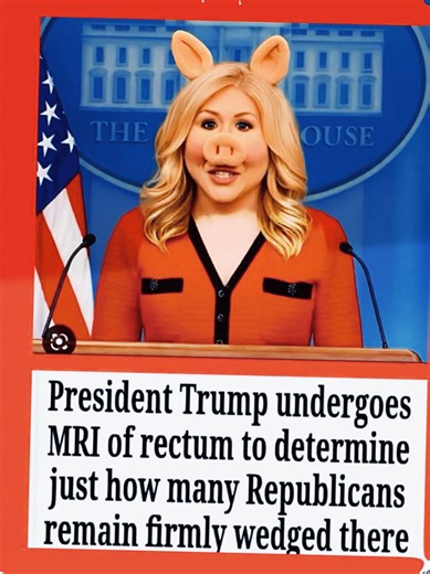 Northern Marx (@northernmarx)’s videos with TRAP GANG - Lastra