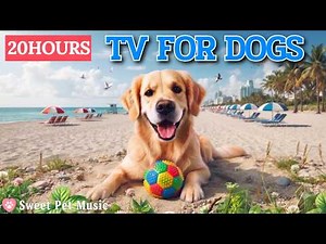 20 Hours of Calming Dog Music🦮💖Deep Sleep and Separation Anxiety Relief🎵🐶Calm Dog Relaxation Music