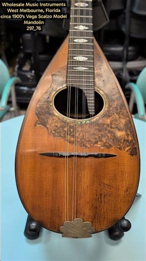 Vintage circa 1900's Vega Scalzo Model Mandolin at Wholesale Music Instruments